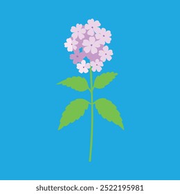 The "Verbena flower vector art illustration" is a high-quality, scalable digital graphic design file featuring a detailed, vibrant vector illustration of a Verbena flower, perfect for print.