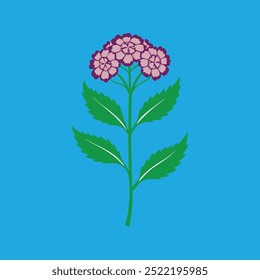 The "Verbena flower vector art illustration" is a high-quality, scalable digital graphic design file featuring a detailed, vibrant vector illustration of a Verbena flower, perfect for print.