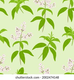 Verbena seamless pattern. Verbena branches with leaves and flowers on a green background. Botanical vector illustration in cartoon flat style.