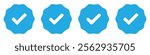 Verified badge profile set. Verified badge. Valid. Social media account verification icon. Green check mark icon. Blue Verified badge icon set. Set of verified badge