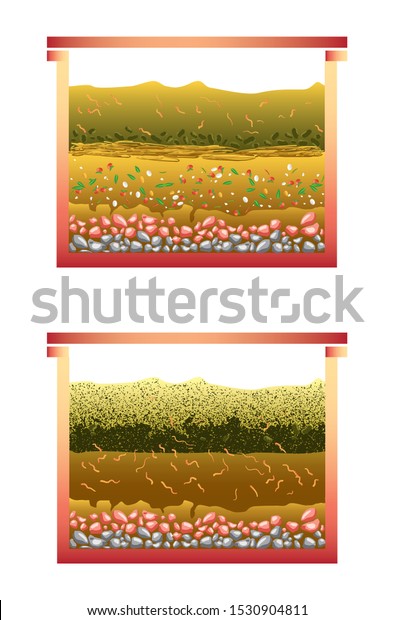 Vermicompost Vermiculture Process Two Stages Vector Stock Vector ...