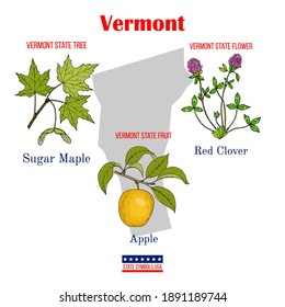 Vermont. Set of USA official state symbols. Vector hand drawn illustration