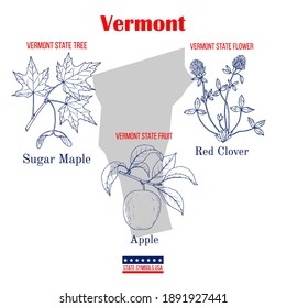 Vermont. Set of USA official state symbols. Vector hand drawn illustration