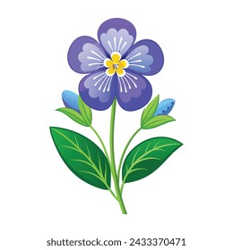 Veronica Flower Illustration on White Background