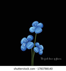 Veronica  macro flower.  Vector  EPS 10