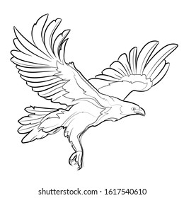 11,778 Eagle Line Drawing Images, Stock Photos & Vectors | Shutterstock
