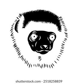 Verreaux's sifaka - vector illustration sketch hand drawn with black lines