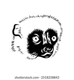 Verreaux's sifaka - vector illustration sketch hand drawn with black lines