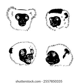 Verreaux's sifaka - vector illustration sketch hand drawn with black lines