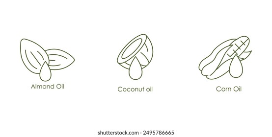 Versatile Almond, Coconut,  Corn Oil Vector Icons