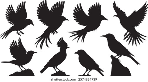 Versatile Bird Silhouette Vector Set: A Collection of Elegant Bird Designs in Various Positions, Including Flying with Outstretched Wings, Perching on Branches, and Soaring Gracefully Against a White 