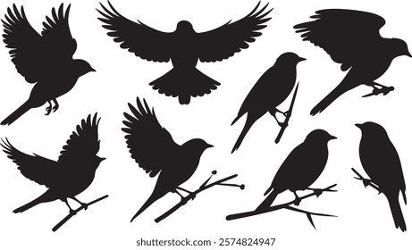 Versatile Bird Silhouette Vector Set: A Collection of Elegant Bird Designs in Various Positions, Including Flying with Outstretched Wings, Perching on Branches, and Soaring Gracefully Against a White 