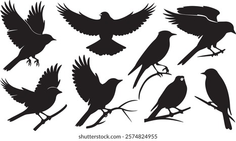 Versatile Bird Silhouette Vector Set: A Collection of Elegant Bird Designs in Various Positions, Including Flying with Outstretched Wings, Perching on Branches, and Soaring Gracefully Against a White 