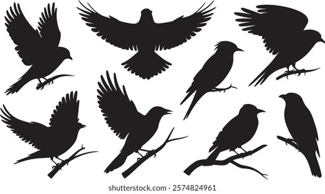 Versatile Bird Silhouette Vector Set: A Collection of Elegant Bird Designs in Various Positions, Including Flying with Outstretched Wings, Perching on Branches, and Soaring Gracefully Against a White 