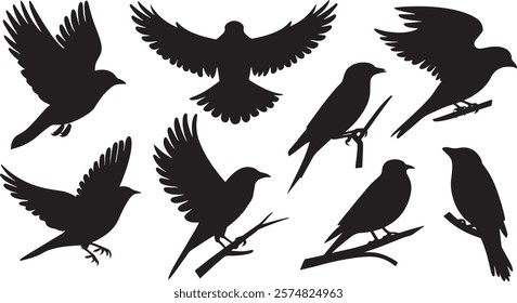 Versatile Bird Silhouette Vector Set: A Collection of Elegant Bird Designs in Various Positions, Including Flying with Outstretched Wings, Perching on Branches, and Soaring Gracefully Against a White 