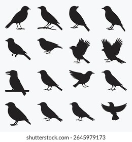Versatile Bird Silhouettes Vector Set Dynamic Poses for Nature and Wildlife Designs