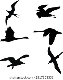 Versatile Bird vector icon sheet, featuring sleek and minimal designs, perfect for nature-themed and creative projects.