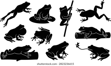 A versatile collection of black frog and toad silhouettes showcasing dynamic actions like jumping, climbing, croaking, and catching a fly. These high-quality vector elements are ideal for nature-themed graphic design, educational biology materials, and wetland wildlife illustrations.