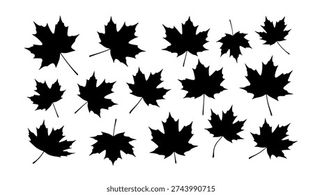 A versatile collection of black maple leaf silhouettes, embodying the spirit of autumn and providing elegant decorative design concepts for seasonal projects