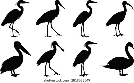 A versatile collection of black silhouette water birds including herons, pelicans, storks, and swans isolated on a white background. These minimalist vector graphics are ideal for wildlife conservation branding, nature-themed designs, and wetland ecology educational materials.