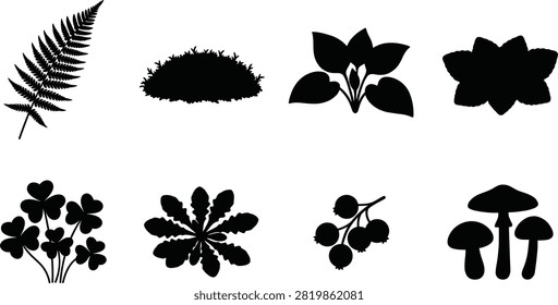 A versatile collection of black vector silhouettes showcasing forest vegetation, including a fern leaf, moss, clover, wild berries, and mushrooms. Excellent for botanical illustrations, nature-themed branding, educational materials, and outdoor lifestyle graphic designs.