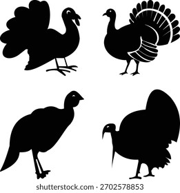 Una versátil colección de cuatro estilizadas siluetas de pavo negro en varias poses, ideal para proyectos de diseño relacionados con el Día de Acción de Gracias, la cosecha, la granja y las aves de corral.