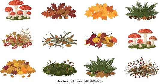  A versatile collection of high-quality autumnal forest floor illustrations featuring fly agaric mushrooms, acorns, and vibrant foliage. These vector elements are ideal for seasonal branding, nature-themed infographics, and rustic greeting card designs.
