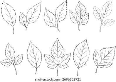 Uma coleção versátil de gráficos vetoriais escaláveis e ícones para design gráfico e desenvolvimento na Web, perfeito para interfaces de marca e de usuário.