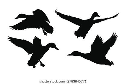 A versatile collection of solid black vector silhouettes featuring ducks in various flight, landing, and soaring positions. These clean, high-contrast shapes are perfectly optimized for duck hunting logos, decal designs, outdoor apparel, embroidery, and hunting club merchandise.