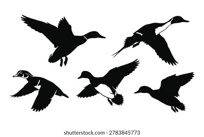 A versatile collection of solid black vector silhouettes featuring ducks in various flight, landing, and soaring positions. These clean, high-contrast shapes are perfectly optimized for duck hunting logos, decal designs, outdoor apparel, embroidery, and hunting club merchandise.