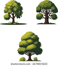 A versatile collection of three realistic-style vector illustrations of large deciduous trees with lush green foliage. Each tree is uniquely shaped, making this set perfect for creating realistic.