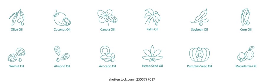 Versatile Cooking Oils Vector Icon Set: Olive, Coconut, Canola, Palm, Soybean, Corn, Walnut, Almond, Avocado, Hemp, Pumpkin Seed, Macadamia