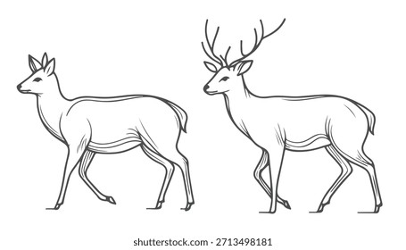 versatile deer illustrations minimalist poses collection