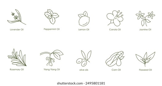 Versatile Essential Oils Vector Icons: Lavender, Peppermint, Lemon, Canola, Jasmine, Rosemary, Ylang Ylang, Olive, Corn, Flaxseed oil