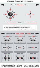 Versatile Nature of Carbon Infographic Diagram showing tetravalent due to valence electrons and how carbon can for single double and triple bonds with examples for chemistry science education poster