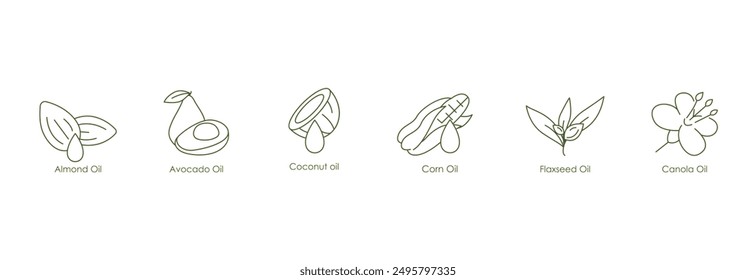 Versatile Oils Vector Icons: Almond, Grape Seed, Tea Tree, Avocado, Coconut, Corn, Flaxseed, Canola