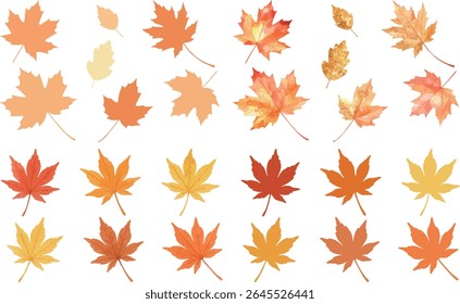Um conjunto versátil de folhas de outono ilustrações com momiji japonês e folhas de bordo em vários estilos.