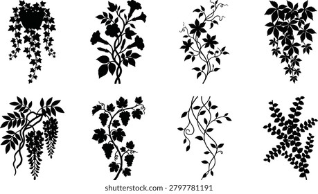 A versatile set of black vector silhouettes featuring various climbing plants, creeping ivy, grapevine branches, and hanging flowers. This detailed botanical graphic collection is perfect for romantic designs, wine branding, and nature-inspired decorative borders.