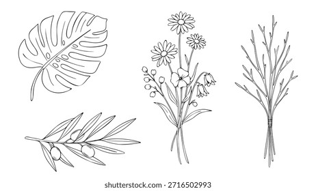 Um conjunto versátil de ilustrações de esboço preto e branco com uma folha de monstro, um buquê de flores silvestres, um ramo de oliveira e um pacote de galhos para temas de design natural.