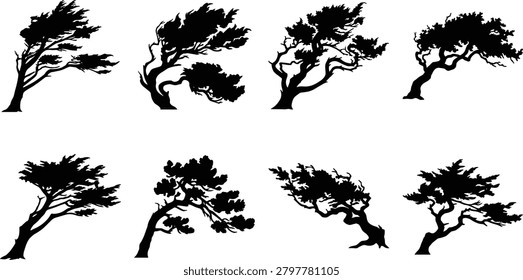 A versatile set of eight black silhouettes depicting trees shaped by strong winds and coastal weather conditions. Perfect for creating dramatic landscape backgrounds, architectural site plans, and environmental conservation graphics.
