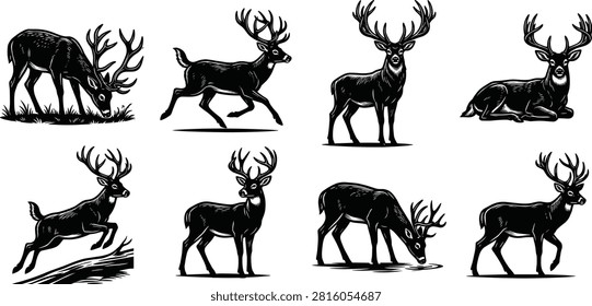 A versatile set of eight monochrome deer silhouettes featuring stags in different natural positions. Ideal for hunting logos, wildlife branding, and nature-inspired graphic design projects.
A versatile set of eight monochrome deer silhouettes featuring stags in different natural positions. Ideal for hunting logos, wildlife branding, and nature-inspired graphic design projects.
