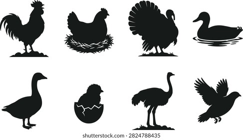 A versatile set of flat black vector silhouettes representing various farm birds and poultry species. Perfect for agricultural branding, rural market signage, educational graphics, and commercial food packaging designs.