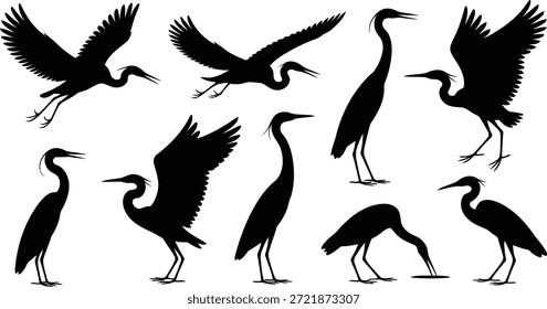 Um conjunto versátil de silhuetas de garça e garça em diferentes posturas naturais, ideal para a vida selvagem e temas de observação de pássaros.