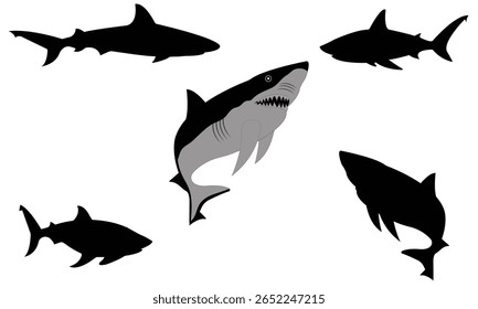 Um conjunto versátil de silhuetas de tubarão em poses dinâmicas. Perfeito para logotipos, tatuagens e desenhos marinhos. Vetores limpos e escaláveis isolados em branco para facilitar a personalização.
