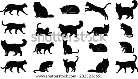 A versatile set of stylized cat silhouettes featuring diverse poses such as walking, sitting, jumping, and grooming. Ideal for veterinary logos, pet shop branding, and feline-themed graphic design projects.
A versatile set of stylized cat silhouettes featuring diverse poses such as walking, sitting, jumping, and grooming. Ideal for veterinary logos, pet shop branding, and feline-themed graphic design projects.
