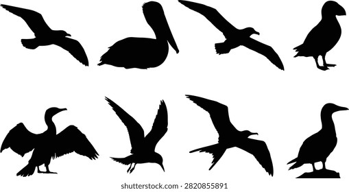 A versatile vector collection of black silhouettes featuring various coastal seabirds like seagulls, pelicans, puffins, and cormorants in flying and standing poses. These detailed aquatic bird graphics are ideal for marine conservation designs, nautical branding, and coastal wildlife projects.A versatile vector collection of black silhouettes featuring various coastal seabirds like seagulls, pelicans, puffins, and cormorants in flying and standing poses. These detailed aquatic bird graphics are ideal for marine conservation designs, nautical branding, and coastal wildlife projects.