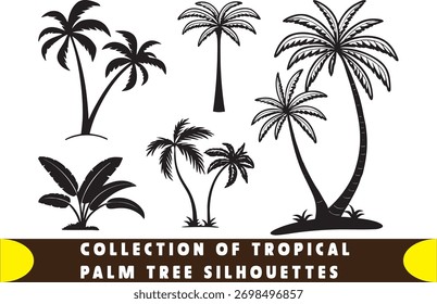 Uma coleção versátil de vetores com várias silhuetas pretas de palmeiras tropicais e plantas exóticas, ideal para projetos de férias, verão e natureza. Isolado no branco.