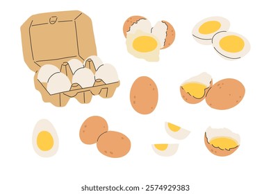 A versatile vector illustration set featuring eggs in various forms and styles. The collection includes whole eggs, cracked eggs, boiled eggs, egg halves, and an egg carton. Ideal for culinary project