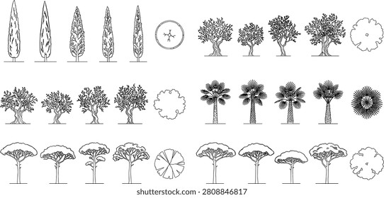 A versatile vector kit featuring cypress, olive, palm, and stone pine trees in both elevation and top-down plan views. This minimalist set is perfect for architectural renderings, garden design layouts, and eco-friendly branding.
