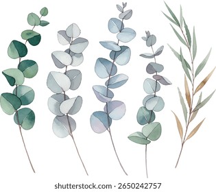 A versatile vector set of eucalyptus branches with a realistic watercolor texture. Isolated, scalable, and editable elements for logos, branding, and patterns.

